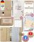 BeginnerBudget® Budget Planner Deutsch - Starterset mit Sparchallenge Budgetplaner deutsch - Sparen mit Umschlagmethode + Anleitung - Ringbuch A6 - Binder A6 Gecko-Style (Beige (mit Budgetplaner)