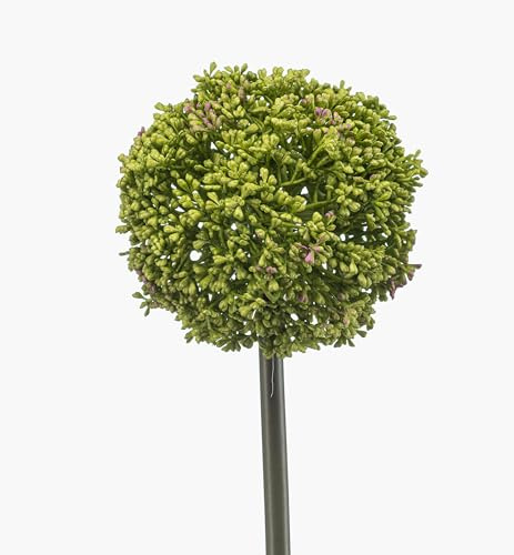 artplants.de Kunstblumen Allium TUXLON, grün, 75cm - Künstlicher Zierlauch