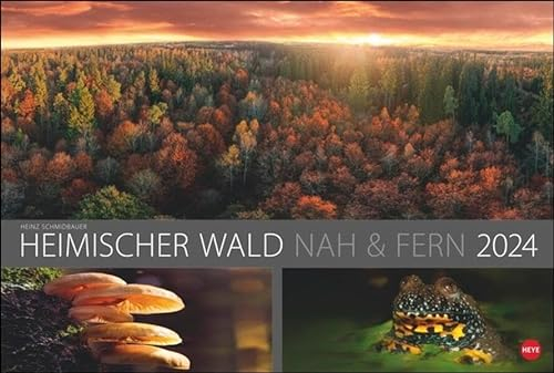 Wald nah und fern Edition Kalender 2024. Der Wald von seiner schönsten Seite in einem Wandkalender. Kalender Großformat mit idyllischen Landschafts-Fotos.