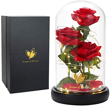 Die Schöne und das Biest Rose Geschenk Kit Rose im Glas,Ewige Rose im Glas mit LED-Licht Romantische Geschenke für Frauen Valentinstag Weihnachtstag Jahrestag Hochzeitstag Geburtstags für Freundin