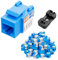 iwillink 10Gbps Cat6 Keystone Jack and Punch-Down Stand, 50-Pack, RJ45 Ethernet Keystone Jacks, 90-Degree UTP Modular Punch Down Keystone Jack Adapter, Blue