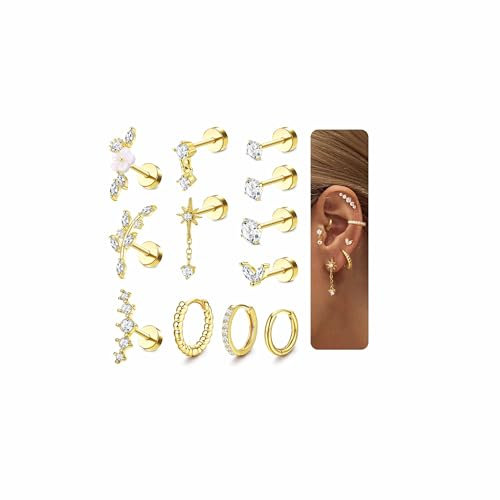 Adramata 12Pcs Helix Piercings Chirurgenstahl Ohrringe Piercings Set CZ Ohr Piercings Ohrstecker Knorpel Ohrringe Damen Klein Ohrring Creolen Gold Silber Conch Helix Tragus Piercing Ohr Schmuck