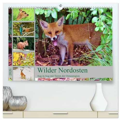 Wilder Nordosten - Aug in Aug mit Tieren der Ostseeregion (hochwertiger Premium Wandkalender 2026 DIN A2 quer), Kunstdruck in Hochglanz: Tiere und Vögel an der Ostseeküste (CALVENDO Tiere)