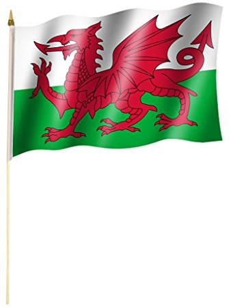 Stockflagge/Stockfahne WALES Flagge/Fahne ca. 30 x 45 cm mit ca. 60cm Stab/Stock