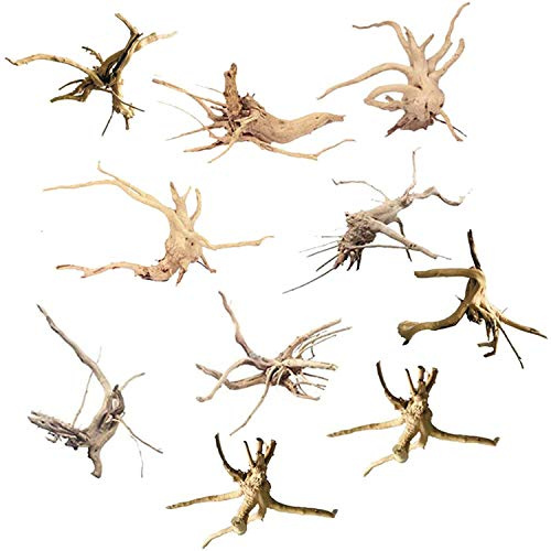 Gaetooely Lot de 10 branches en bois flotté pour aquarium, décorations d'aquarium, , troncs d'arbre