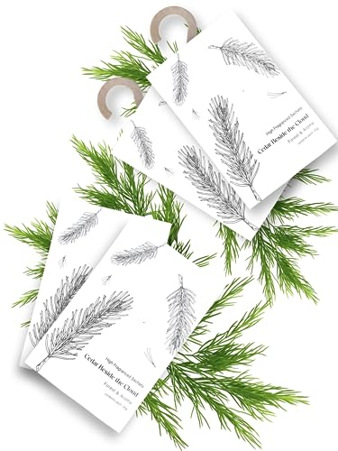 CalmCandle Duftsäckchen - Duftanhänger für Kleiderschrank, Wohnung und Auto - 4er Set (Cedar Beside The Cloud)