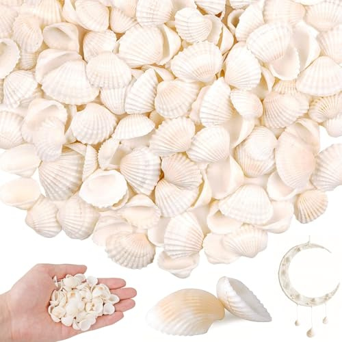 ZHYTUAL 150 Stück Muscheln zum Basteln Muscheln Deko Shells Weiße Natur | 2,5–4 cm Große Muschel Deko Für Strandhochzeitsdekorationen Heimdekoration