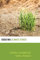 Debating Climate Ethics (Debating Ethics)