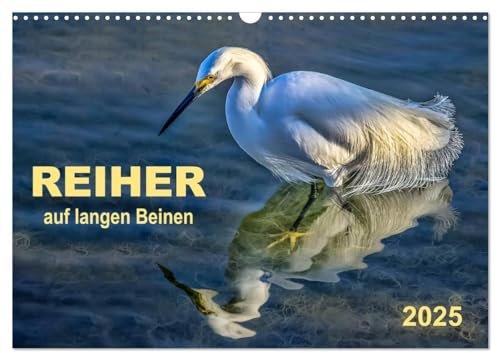 Reiher - auf langen Beinen (Wandkalender 2025 DIN A3 quer), CALVENDO Monatskalender: Reiher - auf langen Beinen stelzend auf Nahrungssuche. (CALVENDO Tiere)