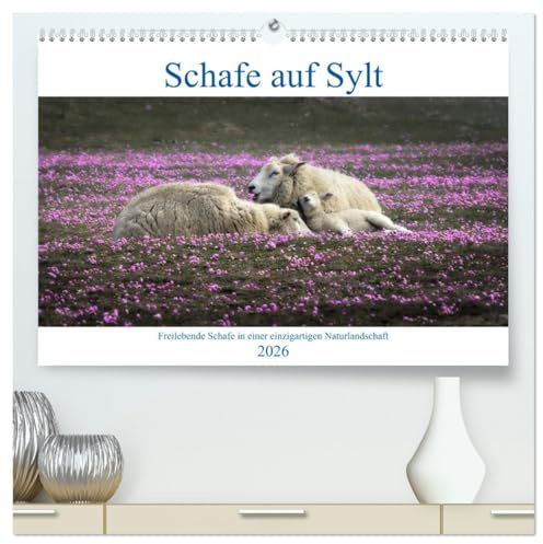 Schafe auf Sylt (hochwertiger Premium Wandkalender 2026 DIN A2 quer), Kunstdruck in Hochglanz: Schafe in den Dünen und auf dem Deich (CALVENDO Tiere)
