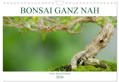 Bonsai ganz nah (Wandkalender 2026 DIN A4 quer), CALVENDO Monatskalender: Bonsai Bäume ganz nah betrachtet (CALVENDO Natur)