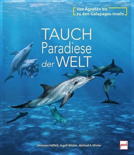 Tauchparadiese der Welt: Von Ägypten bis zu den Galapagos-Inseln