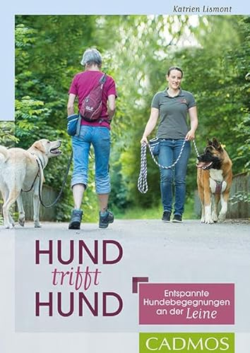 Hund trifft Hund: Entspannte Hundebegegnungen an der Leine