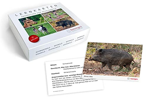 Lernkarten Ansprechen von Schalenwild