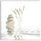 Still Life Wall Art Decor Zen Garden Abstract of Spa Stones Natural Wild Grasses Grey Water Print on Canvas-80x80cm No Frame