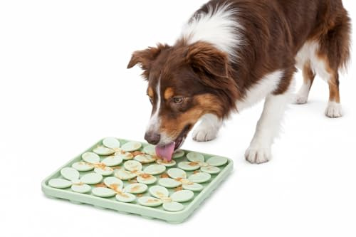 hundenapf - katzennapf - leckmatte Hund - Klaver quadratisch - hellgrün - 20x20x1,5 cm - silikon - mit saugnäpfen - für nassfutter