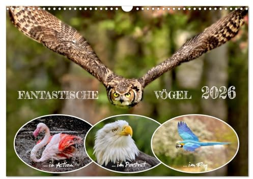 Fantastische Vögel (Wandkalender 2026 DIN A3 quer), CALVENDO Monatskalender: Vögel in majestätischen Flugaufnahmen und Porträts. (CALVENDO Tiere)