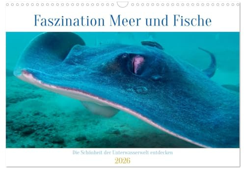 Faszination Meer und Fische (Wandkalender 2026 DIN A3 quer), CALVENDO Monatskalender: Tauche ein in eine geheimnisvolle Welt mit schillernden Farben und skurrilen Formen (CALVENDO Tiere)