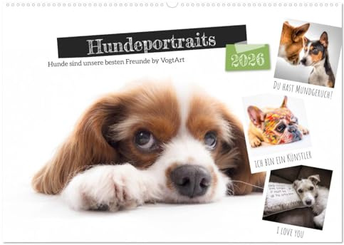Hundeportraits, Hunde sind unsere besten Freunde by VogtArt (Wandkalender 2026 DIN A2 quer), CALVENDO Monatskalender: Freunde auf Vierpfoten mit witzigen Sprüchen. (CALVENDO Tiere)