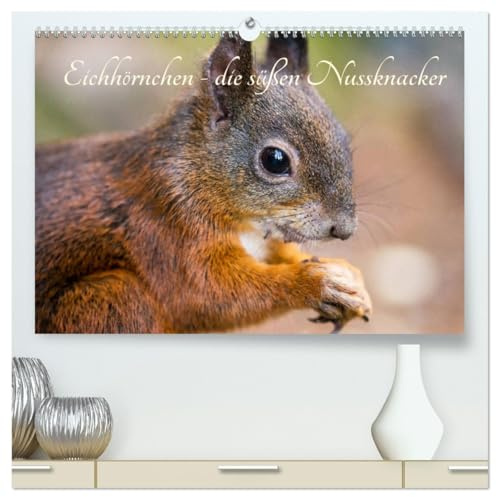 Eichhörnchen - die süßen Nussknacker (hochwertiger Premium Wandkalender 2026 DIN A2 quer), Kunstdruck in Hochglanz: Die kleinen Nussknacker erobern unsere Herzen (CALVENDO Tiere)