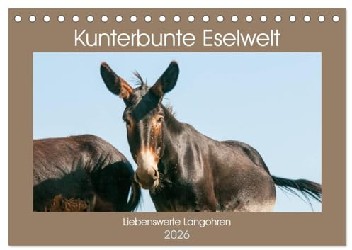 Kunterbunte Eselwelt - Liebenswerte Langohren (Tischkalender 2026 DIN A5 quer), CALVENDO Monatskalender: Wunderschöne Esel im Bild (CALVENDO Tiere)
