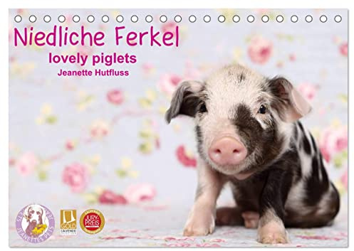 Niedliche Ferkel lovely piglets 2026 (Tischkalender 2026 DIN A5 quer), CALVENDO Monatskalender: Kleine Ferkel im Studio (CALVENDO Tiere)