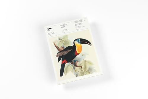 Tropical Birds: Writing Paper & Note Pad A5