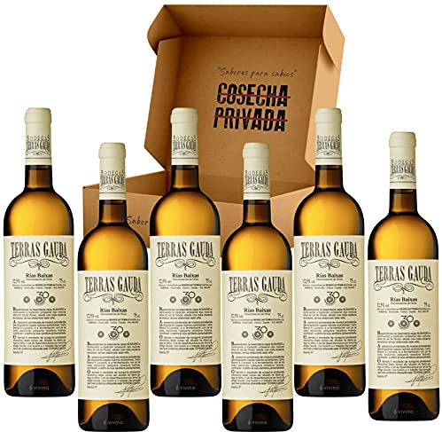 Terras Gauda Albariño - Envío Gratis 24 H - 6 Botellas - Rías Baixas - Vino Blanco - Seleccionado y Enviado en caja reforzada de Cosecha Privada