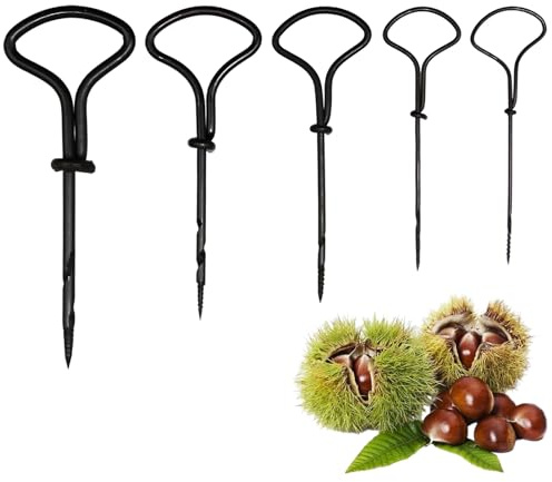 5 Pièces Vrilles Manuelles pour Bois et Châtaignes, Mini Forets à Main de 1.5 mm à 5 mm, Outil de Perçage Manuel pour Bricolage DIY Automne Créations Artisanales Perçage de Trous Sécurisé