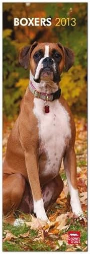 Boxers 2013: Boxer (Slimline-Kalender)