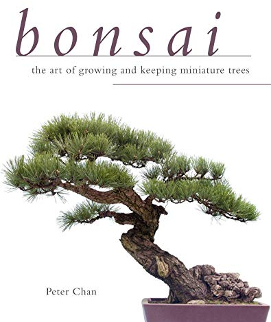 Bonsai: The Art of Growing and Keeping Miniature Trees