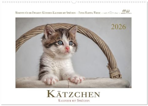 Kätzchen-Kalender mit Sprüchen (Wandkalender 2026 DIN A2 quer), CALVENDO Monatskalender: Wundervolle Katzenfotografien, kombiniert mit Sprüchen, begleiten Sie durch das Jahr (CALVENDO Tiere)
