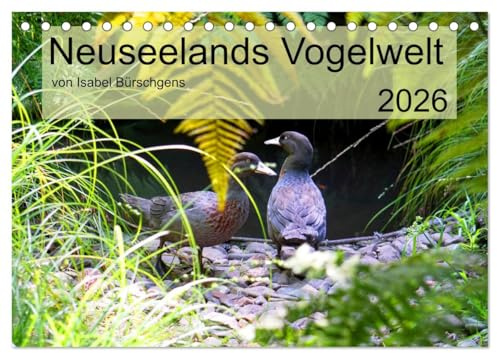 Neuseelands Vogelwelt (Tischkalender 2026 DIN A5 quer), CALVENDO Monatskalender: Eine Reise in die gefiederte Tierwelt am anderen Ende der Erde. (CALVENDO Tiere)