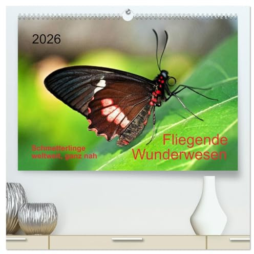 Fliegende Wunderwesen. Schmetterlinge weltweit, ganz nah (hochwertiger Premium Wandkalender 2026 DIN A2 quer), Kunstdruck in Hochglanz: Zwölf ... portraitiert. (CALVENDO Tiere)