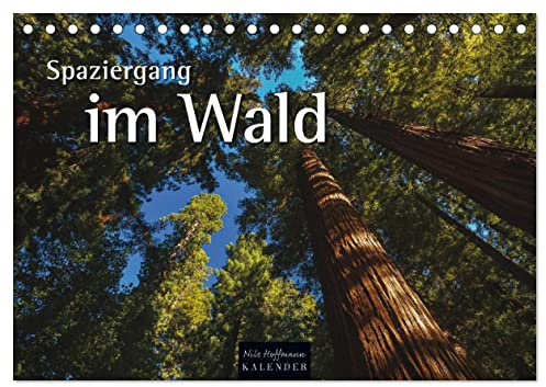 Spaziergang im Wald (Tischkalender 2026 DIN A5 quer), CALVENDO Monatskalender: Jahreszeitliche Einblicke in den Wald (CALVENDO Natur)