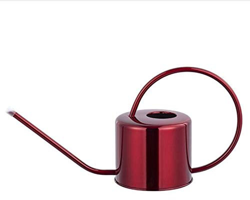 DUDNJC Arrosoir moderne en métal pour plantes d'intérieur et d'extérieur - 1,27 l - Bec long - En acier inoxydable - Pour plantes de maison, bonsaï, jardin, fleurs succulentes - Rouge