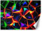Feeby Papier Peint Intissé Effet 3D Enfants Garçon 350x245 cm multicolore XXL Moderne Décoration Murale Tableaux Muraux Tapisserie Salon Chambre à coucher Néon Jeux