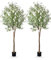 Leflos 210 cm Olivo artificiale strapazzato, Alberi artificiali solo per uso interno, con tronco vivo, rami regolabili e olive turgide, 2 pezzi