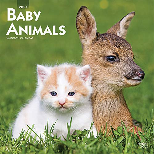 Baby Animals 2021 Calendar