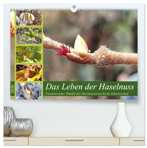Das Leben der Haselnuss (hochwertiger Premium Wandkalender 2026 DIN A2 quer), Kunstdruck in Hochglanz: Faszinierende Bilder der gemeinen Haselnuss im Jahresverlauf (CALVENDO Natur)
