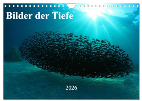 Bilder der Tiefe 2026 (Wandkalender 2026 DIN A4 quer), CALVENDO Monatskalender: Faszinierende Bilder aus der Wunderwelt tropischer Korallenriffe (CALVENDO Natur)