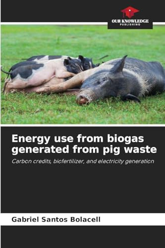 Energy use from biogas generated from pig waste: Carbon credits, biofertilizer, and electricity generation