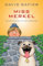 Miss Merkel en de moord op het kerkhof (Miss Merkel, 2)