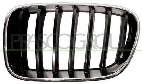 PRASCO Kühlergitter BM8042004 links | Kompatibel mit: BMW X3