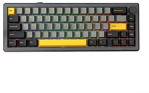EPOMAKER EK68 65% Gasket NKRO Mechanische Tastatur, Hot Swappable Triple Mode Wired Wireless Gaming-Tastatur mit 3000mAh Akku, RGB-Hintergrundbeleuchtung für Büro/Home/Win/Mac(Budgerigar Switch)