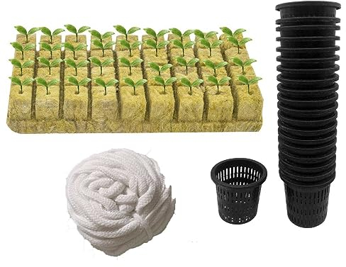 Steinwolle Würfel 1 Set Soilless Mesh Net Korb Pflanze Blume Obst Gemüse Wachsen Kindergarten Topf Garten Hydrokultur Aquaponic Wachsen