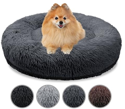 bluzelle Orthopädisches Hundebett für Kleine Hunde & Katzen, Dunkel-Grau | XS-60 cm