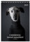 UNDERDOG - Windhundportraits (Tischkalender 2025 DIN A5 hoch), CALVENDO Monatskalender: tierisch menschlich! (CALVENDO Tiere)