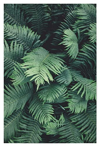 artboxONE Poster 75x50 cm Pflanzen & Blätter Natur Green Tropical Jungle - Bild Green artprint blätter