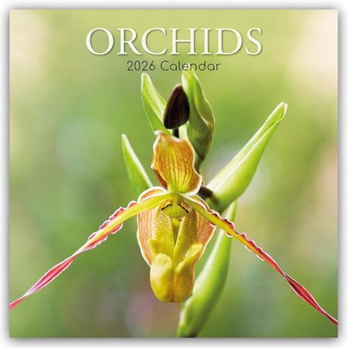 Orchids – Orchideen 2026 – 16-Monatskalender: Original Gifted Stationery-Kalender [Mehrsprachig] [Kalender] (Wall-Kalender)